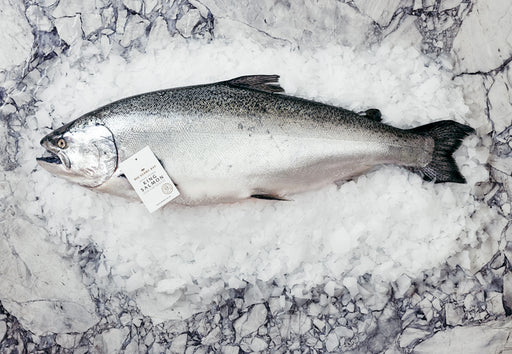 Fresh Whole NZ King Salmon (2 - 4kg)   (Deposit Only - $380/kg)